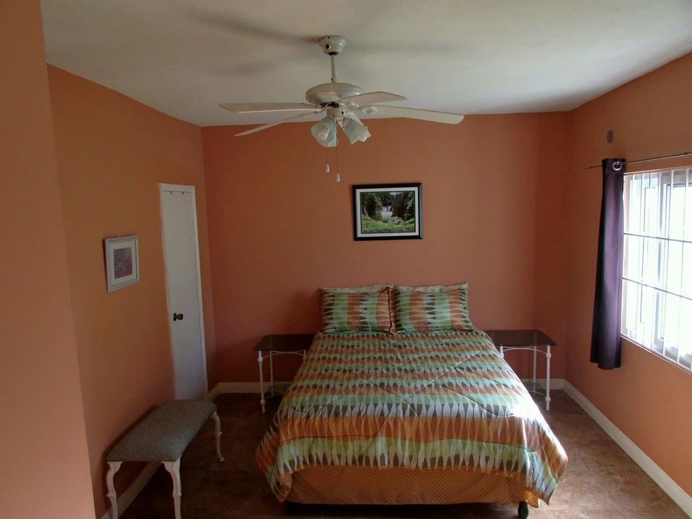 Centrally Located Guest Apartments Kingston Ngoại thất bức ảnh