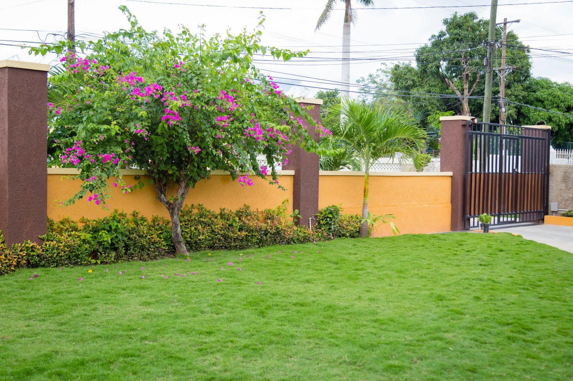 Centrally Located Guest Apartments Kingston Ngoại thất bức ảnh