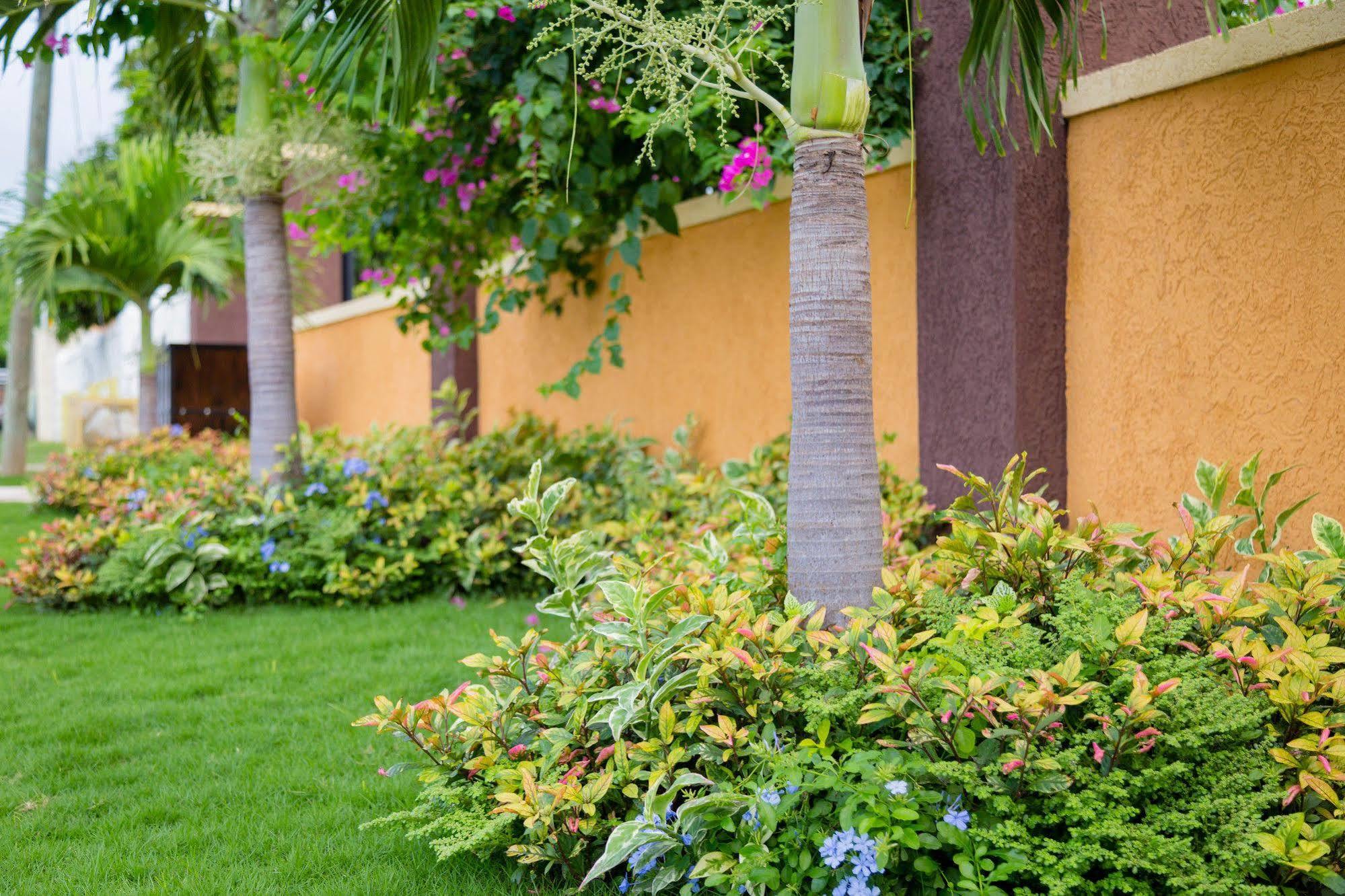 Centrally Located Guest Apartments Kingston Ngoại thất bức ảnh