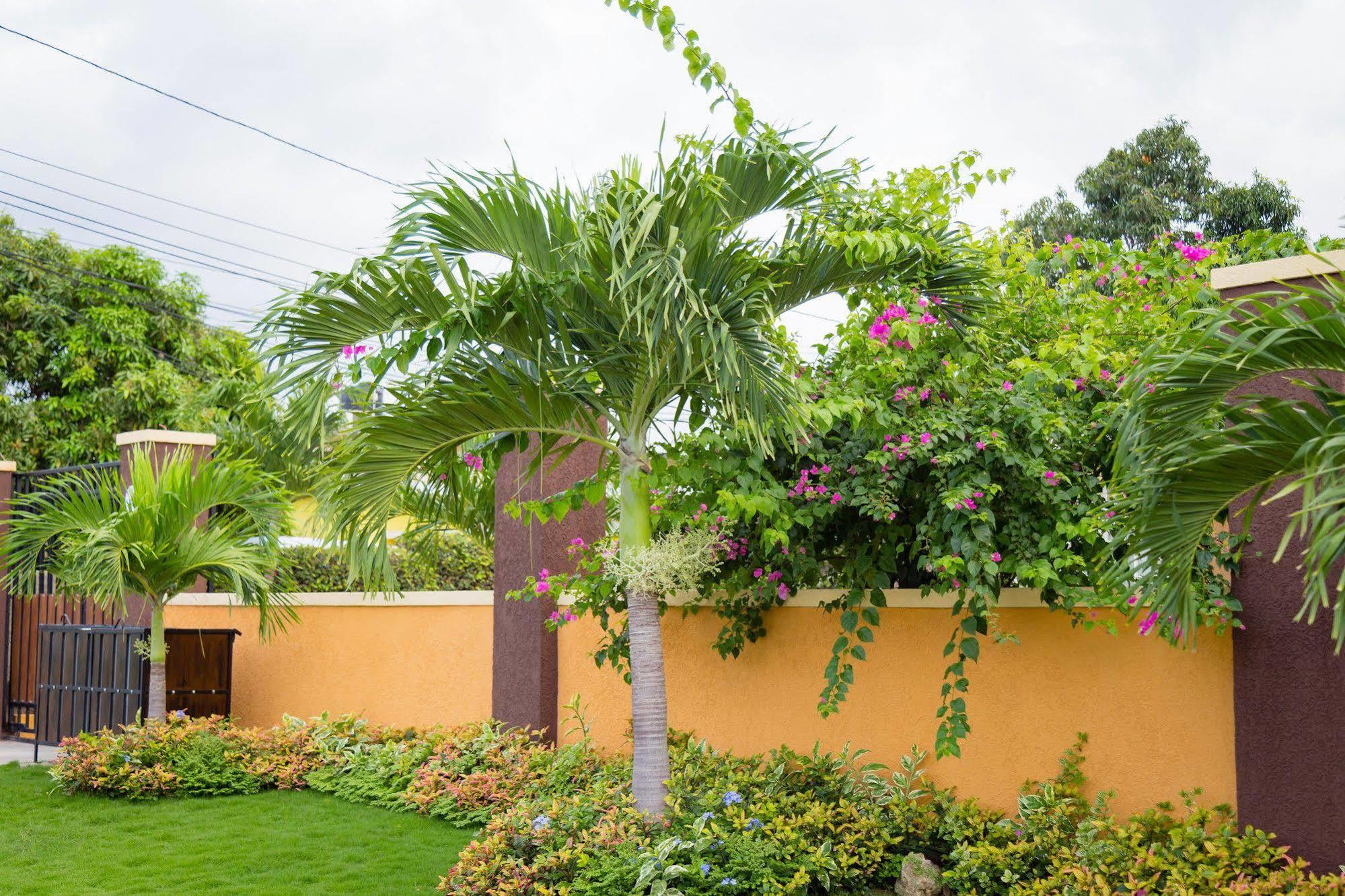Centrally Located Guest Apartments Kingston Ngoại thất bức ảnh